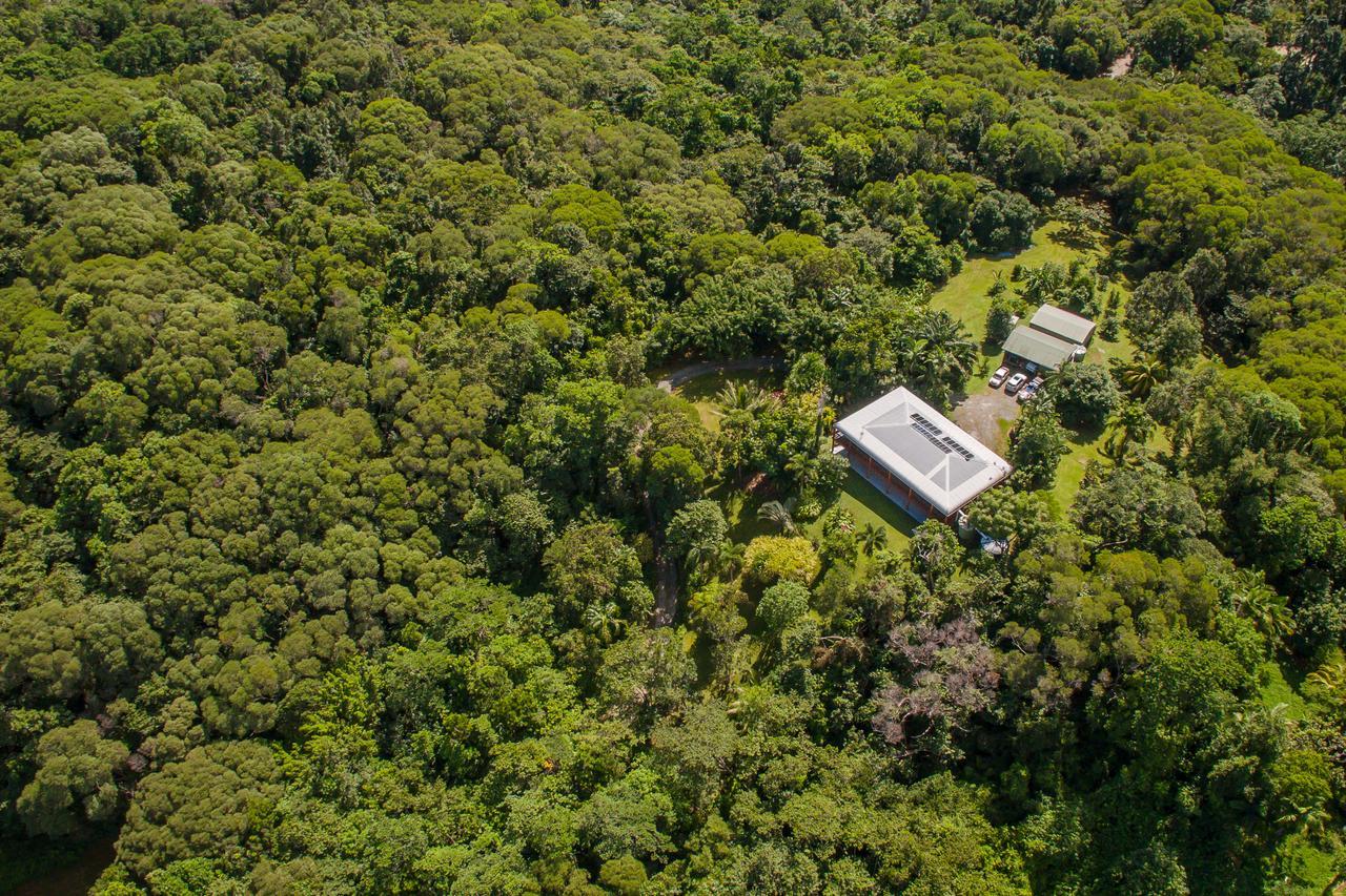Daintree Manor B&B Exteriér fotografie
