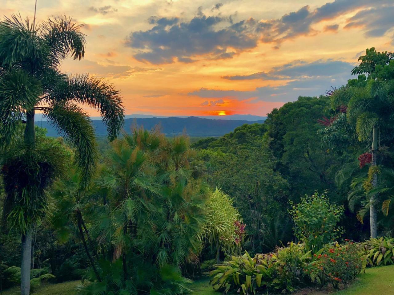 Daintree Manor B&B Exteriér fotografie