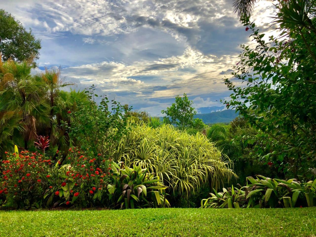 Daintree Manor B&B Exteriér fotografie